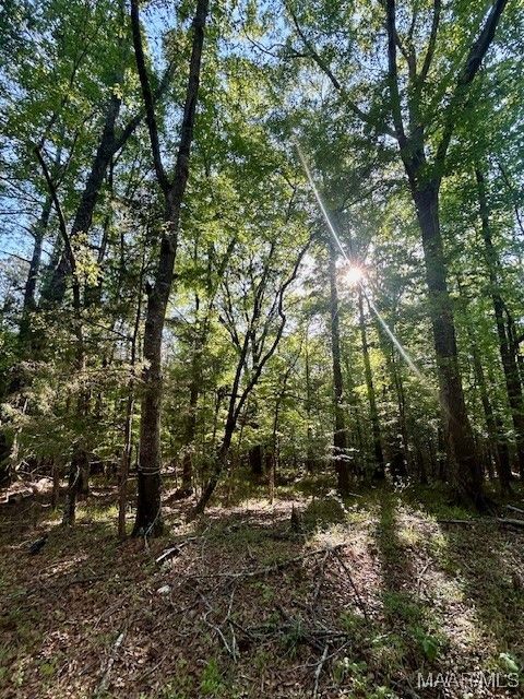 Photo of 0 Sherling Lake Road, Greenville, AL 36037 (MLS # 574550) Photo of 0 Sherling Lake Road, Greenville, AL 36037 (MLS # 574550)