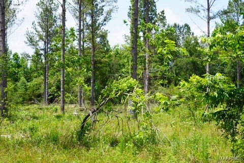 Photo of 0 Pineapple Highway, Forest Home, AL 36030 (MLS # 576739)