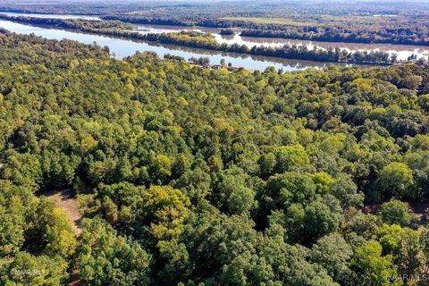 Photo of 63 Riverview Landing Drive, Camden, AL 36726 (MLS # 580028)