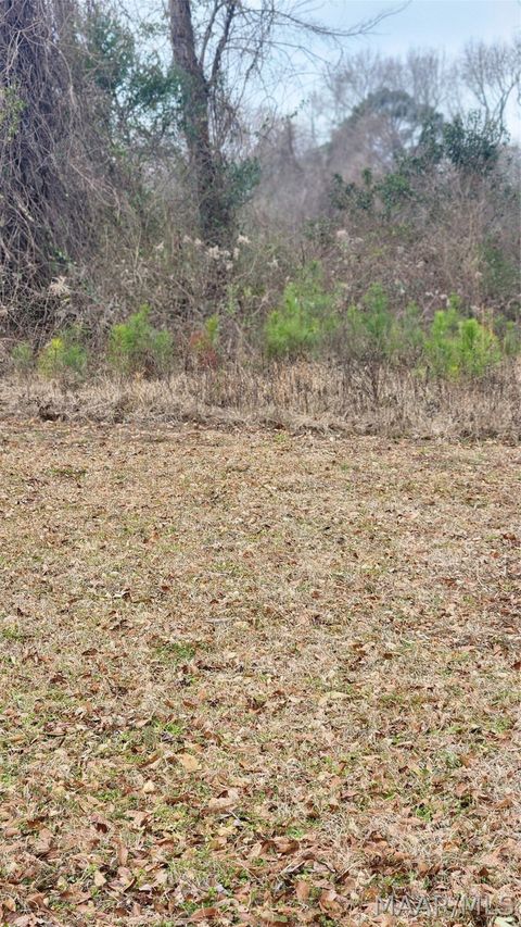 Photo of 000 Bibb Street, Tuskegee, AL 36088 (MLS # 583698)