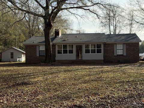 Photo of 10244 Highway 80 E, Tyler, AL 36785 (MLS # 582442)