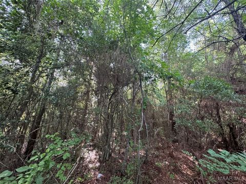 Photo of 0 Highway 69 Highway, Campbell, AL 36727 (MLS # 581679)