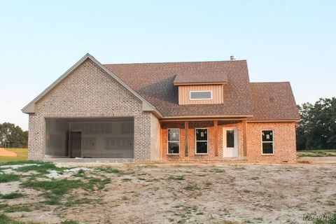 Photo of 3706 Chana Creek Road, Eclectic, AL 36024 (MLS # 580057)