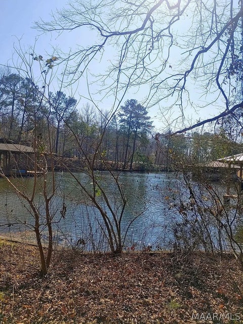 Photo of 10 Yacht Club Road, Titus, AL 36080 (MLS # 586467)