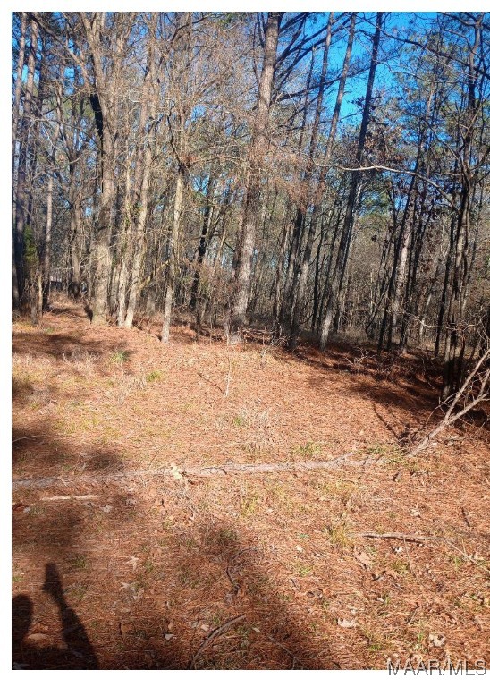 Photo 1 of 2 — 437 Hayneville Ridge Road, Mathews, AL 36052