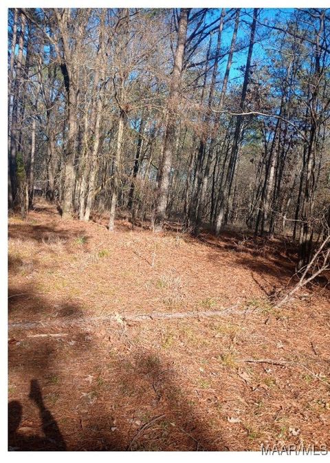 Photo of 437 Hayneville Ridge Road, Mathews, AL 36052 (MLS # 583151)