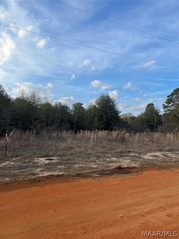 Photo 1 of 1 — Lot 46 Deer Loop, Camden, AL 36726