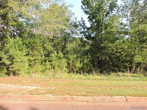 Photo of 7 White Oak Way, Greenville, AL 36037 (MLS # 541595)