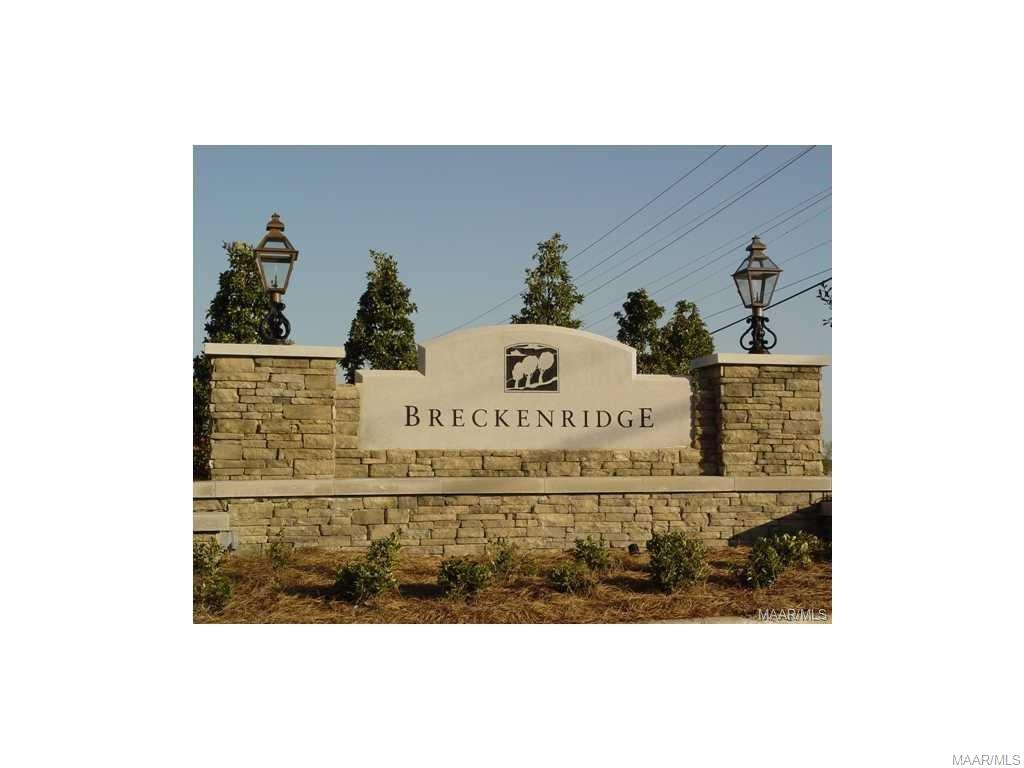 Photo 1 of 1 — 1054 TIMBER GAP Crossing, Montgomery, AL 36117