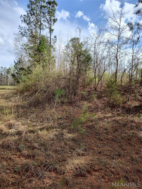 Photo of 0 W Mill Street, Georgiana, AL 36033 (MLS # 584842)