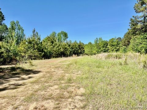Photo of 0 Union Road, Eclectic, AL 36024 (MLS # 585752)