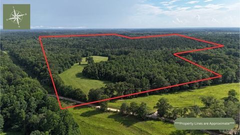 Photo of 260 Sunflower Road, Union Springs, AL 36005 (MLS # 579867)
