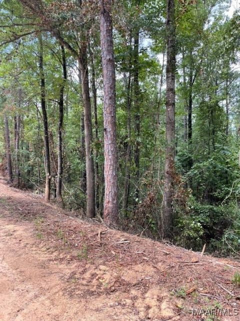 Photo of 0 County Road 536, Marbury, AL 36051 (MLS # 578617)