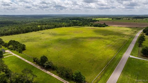 Photo of 4 County Road 57, Pine Level, AL 36022 (MLS # 580623)