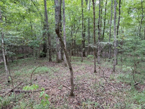 Photo of 0 County Road 199, Troy, AL 36081 (MLS # 589906)