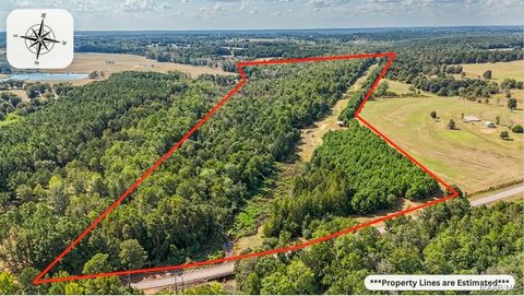 Photo of 83 County Road 4409 Road, Troy, AL 36010 (MLS # 580893)