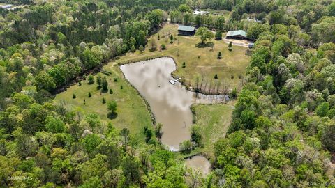 Photo of 12110 Highway 10 W, Pine Hill, AL 36769 (MLS # 584985)