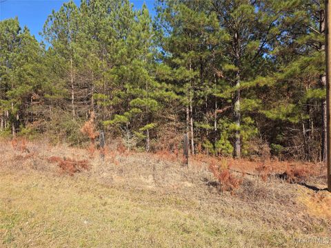 Photo of 0 Amber Road, Shorter, AL 36075 (MLS # 582447)