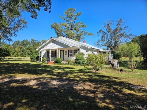 Photo of 411 Mt Pleasant Road W, Georgiana, AL 36033 (MLS # 580555)