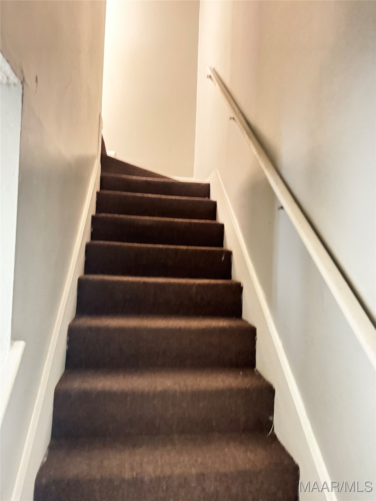 1206 Seth Johnson Drive - Photo 2