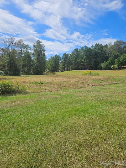 Photo of 118 Fox Run Drive, Deatsville, AL 36022 (MLS # 580512)