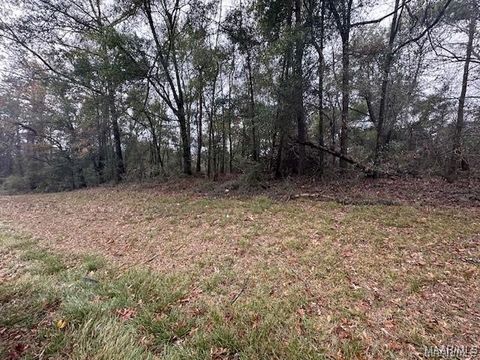 Photo of 0 Hwy 31, Prattville, AL 36067 (MLS # 580918)