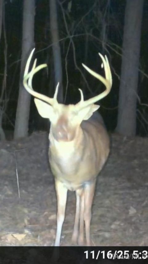 Photo of 2183 Friendship Road, Tallassee, AL 36078 (MLS # 582156)