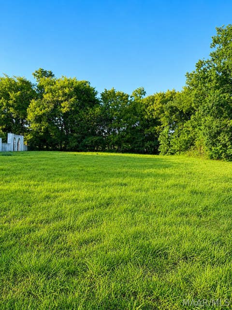 Photo of 14 Fairway Drive, Montgomery, AL 36116 (MLS # 589880)