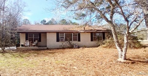 Photo of 155 AARON PARK Road, Eclectic, AL 36024 (MLS # 583412)