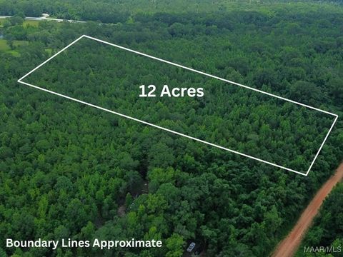 Photo of 0 County Road 81, Tuskegee, AL 36083 (MLS # 577541)