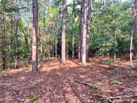 Photo of 1035 Indian Pines Road, Wetumpka, AL 36093 (MLS # 589104)