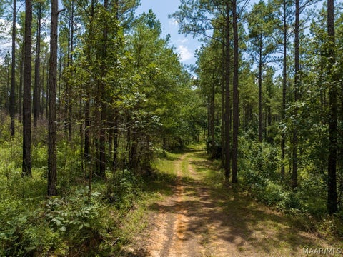 Photo of 0 WARE Road, Wetumpka, AL 36092 (MLS # 591383)