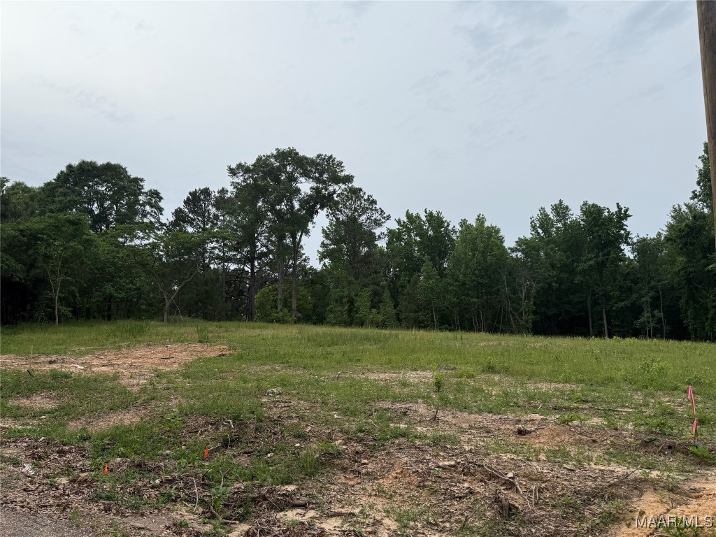 Photo 1 of 1 — 658 Nichols Avenue, Eclectic, AL 36024