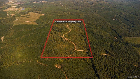 Photo of 0 County Road 14 Road, Equality, AL 36026 (MLS # 590925)