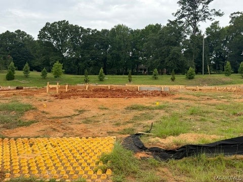Photo of 1029 Sunfield Drive, Prattville, AL 36066 (MLS # 588478)