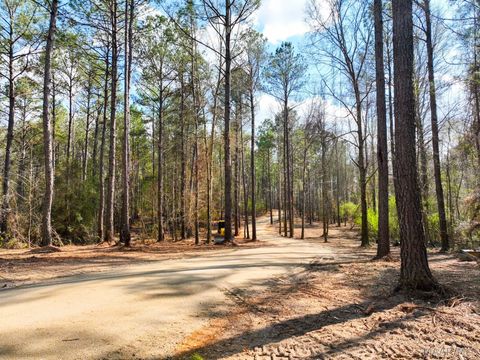 Photo of 11 Highway 80 Highway, Auburn, AL 36830 (MLS # 584597)