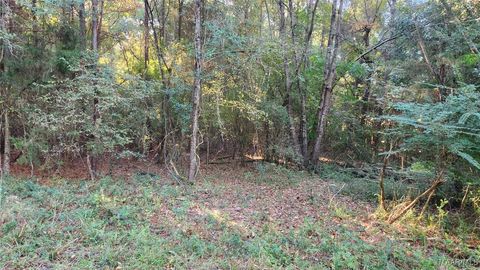 Photo of 15 Lakeshore Drive E, Tuskegee, AL 36083 (MLS # 565618) Photo of 15 Lakeshore Drive E, Tuskegee, AL 36083 (MLS # 565618)
