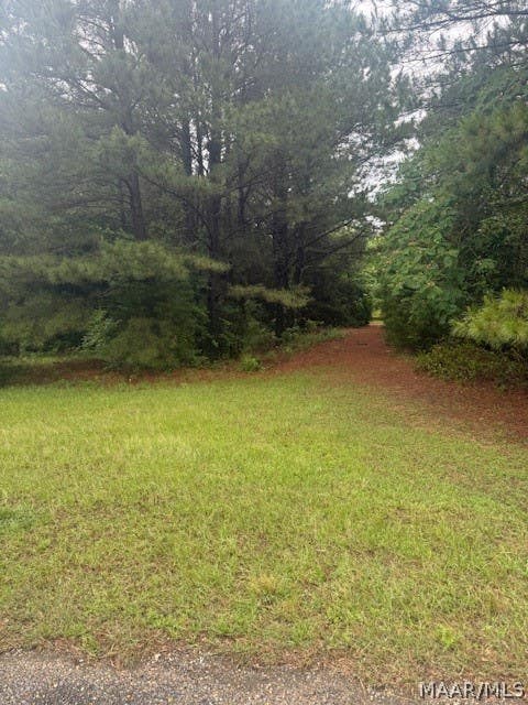 Photo of 3 Cottrell Way, Autaugaville, AL 36003 (MLS # 586878)