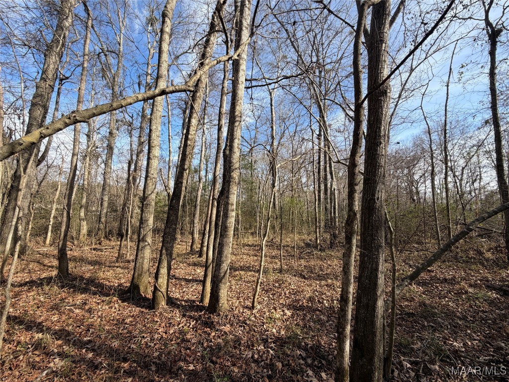 Photo 1 of 23 — . Highway 31, Letohatchee, AL 36047