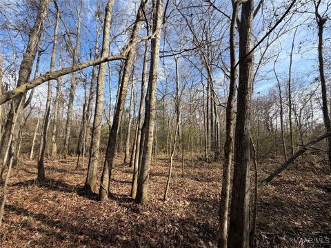 Photo of . Highway 31, Letohatchee, AL 36047 (MLS # 583117)