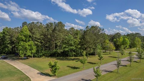 Photo of 152 Woods N Water Lane N, Mathews, AL 36052 (MLS # 583396)