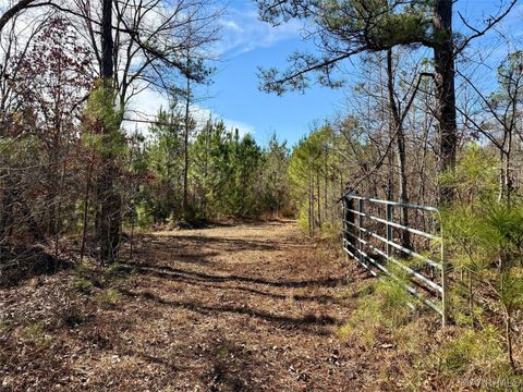 Photo of 000 Coosa County Road 14 Road, Equality, AL 36026 (MLS # 583931)