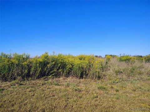 Photo of 237 Greenleaf Road, Lowndesboro, AL 36043 (MLS # 591055)