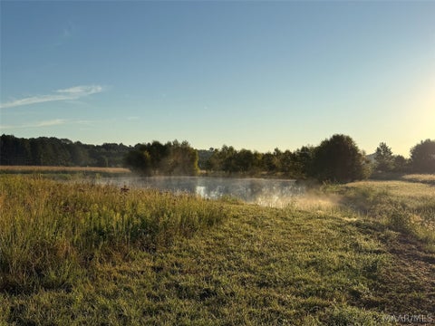 Photo of 334 DANI Lane, Mathews, AL 36052 (MLS # 590918)