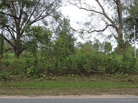 Photo of 0 S Mt Zion Road, Greenville, AL 36037 (MLS # 591286)