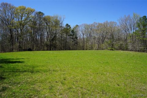 Photo of 200 Old Barnes Road, Pine Level, AL 36065 (MLS # 582033)