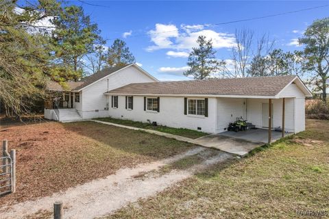 Photo of 596 County Road 61, Columbia, AL 36319 (MLS # 582880)