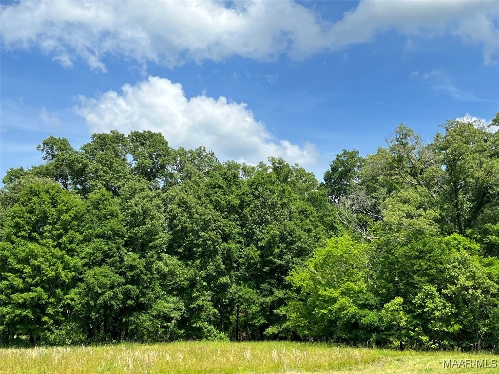 4209 Marler Road - Photo 2