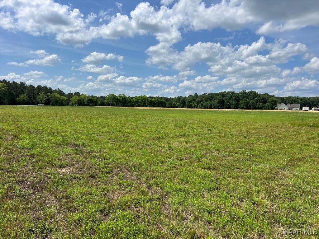 4209 Marler Road - Photo 4
