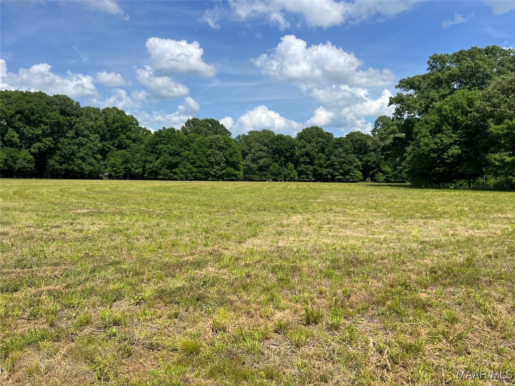 4209 Marler Road - Photo 3